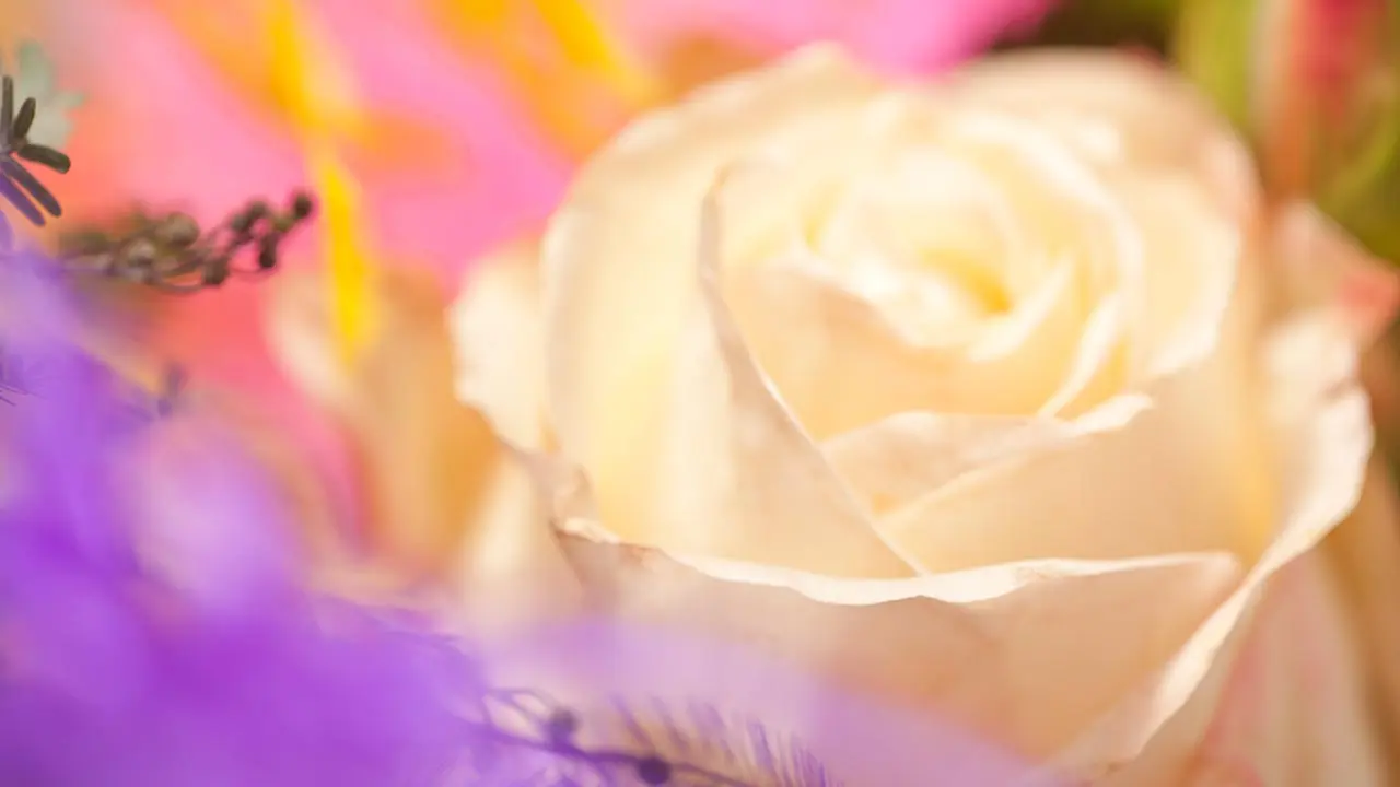 Blumen im Tantra Tempel von Estrela Tantramassage Stuttgart